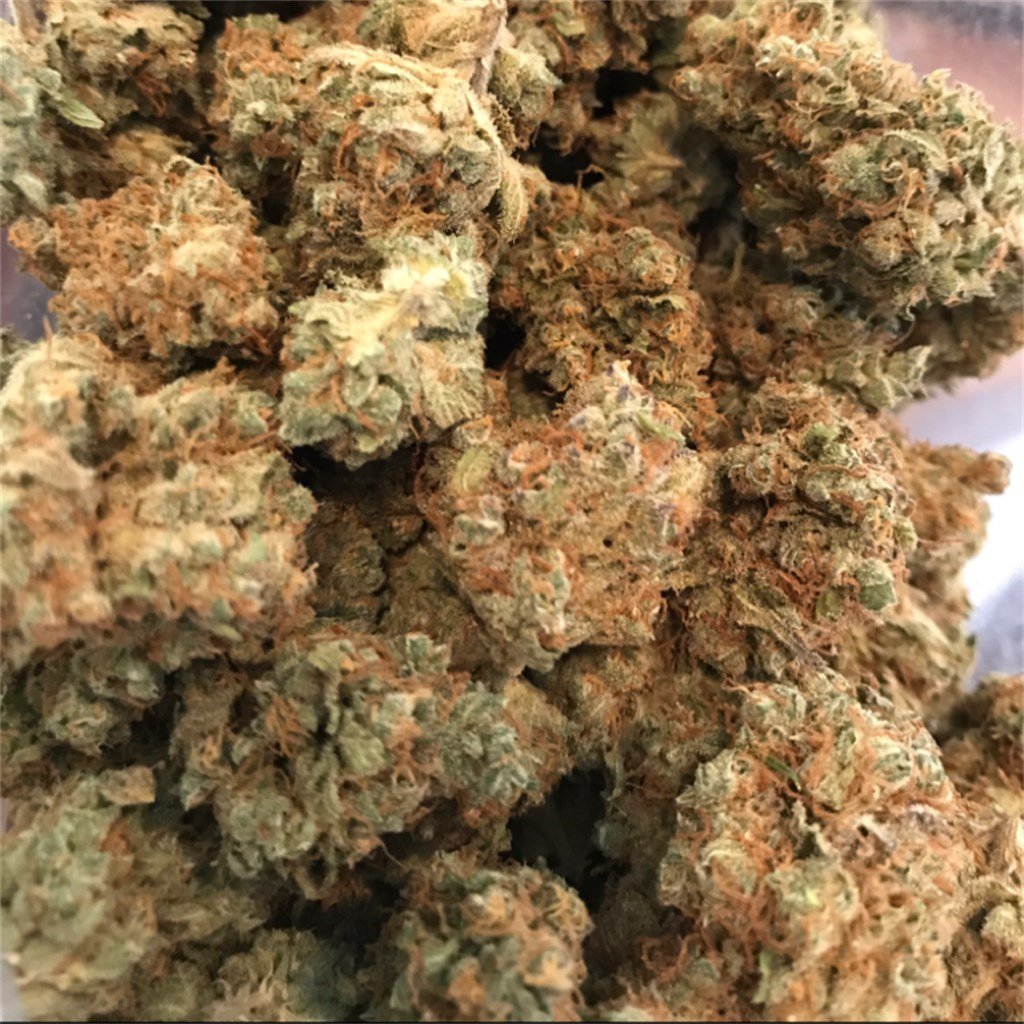 Blue-Cookies-1.jpg Blue Cookies - Image 1
