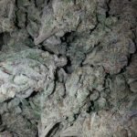 Khalifa Kush