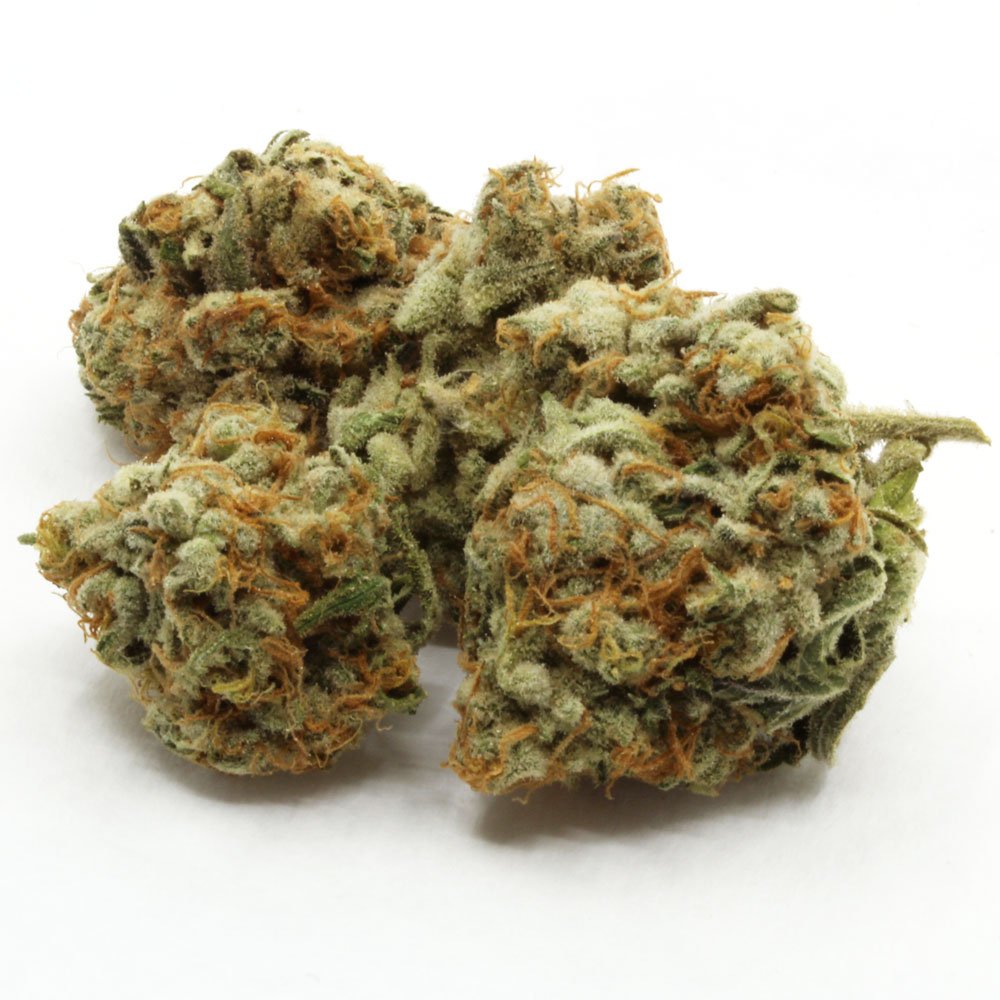 Slurricane-Flower.jpg Slurricane Flower - Image 1