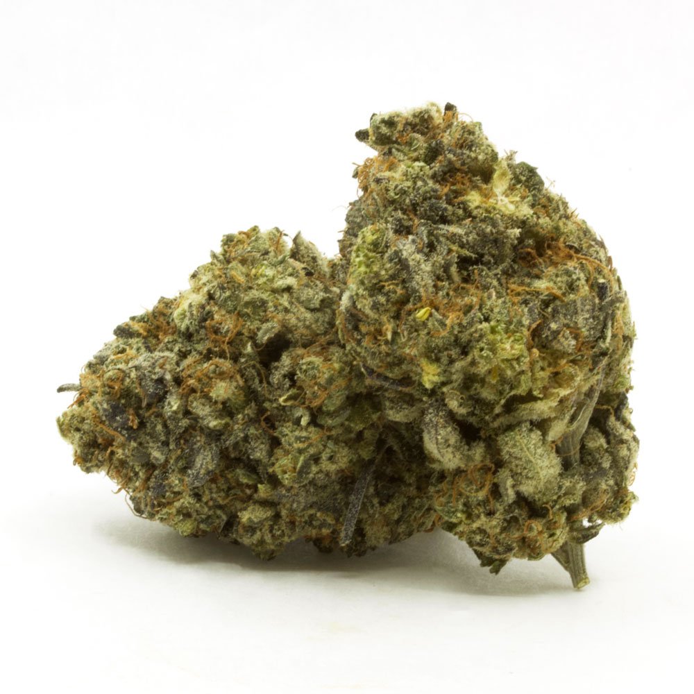 Zeus-OG-1.jpg Zeus OG - Image 1